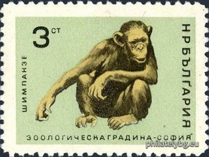 БК 1683