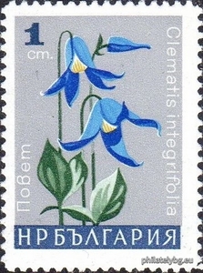 БК 1746