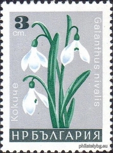 БК 1749