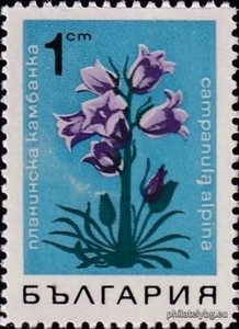 БК 1855
