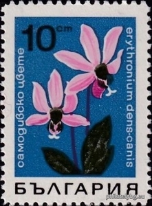 БК 1859