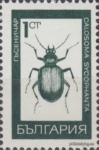 БК 1893