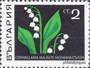 БК 1924