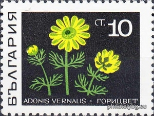 БК 1927