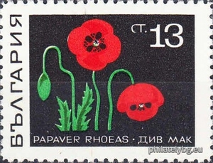БК 1928