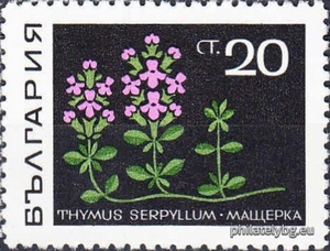 БК 1929