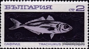 БК 2022