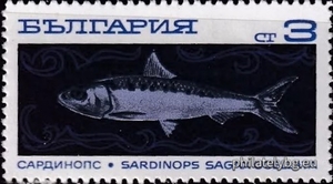 БК 2023