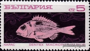 БК 2024