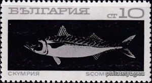 БК 2025