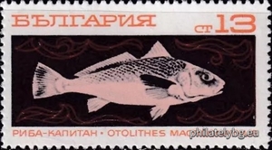 БК 2026