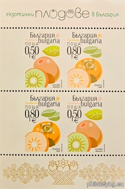 БК 5756A-5757A