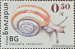 БК 5769