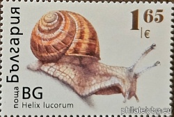 БК 5772