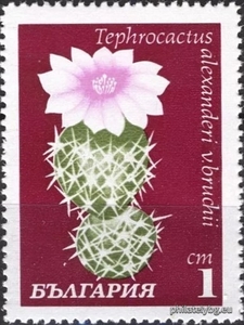 БК 2057
