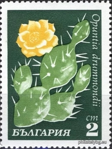 БК 2058