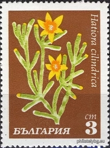 БК 2059