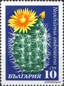 БК 2062