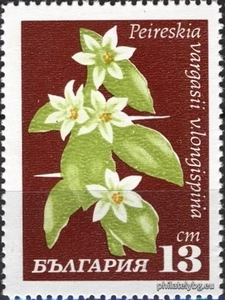 БК 2063