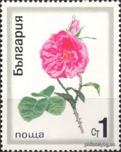 БК 2065