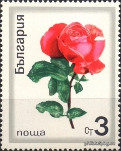 БК 2067
