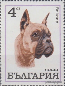 БК 2090