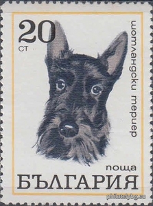 БК 2093