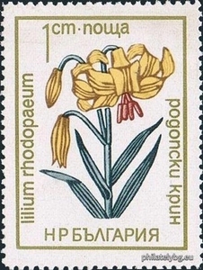 БК 2270