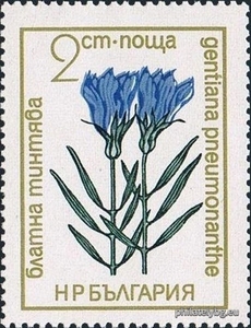 БК 2271
