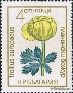 БК 2273