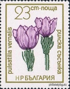 БК 2275