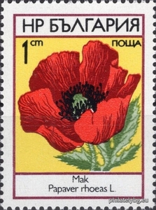 БК 2303