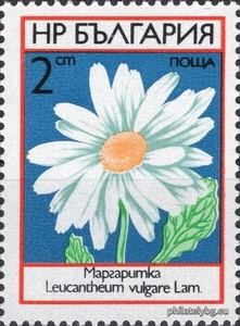 БК 2304