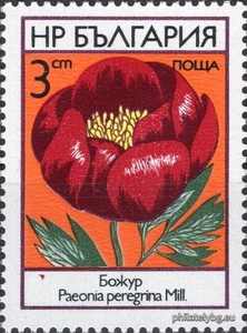 БК 2305