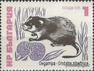 БК 2315