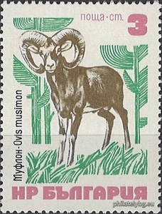 БК 2317