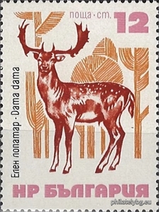 БК 2318