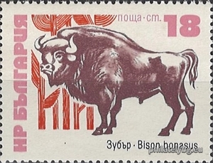 БК 2319