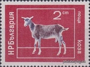 БК 2387