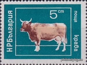 БК 2389