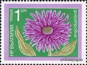БК 2415