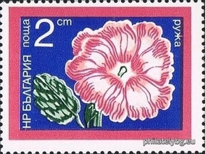 БК 2416