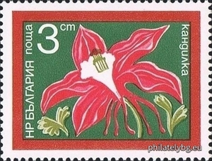 БК 2417