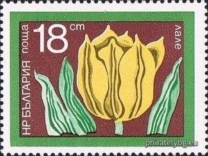 БК 2418
