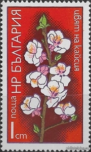 БК 2449