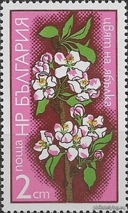 БК 2450