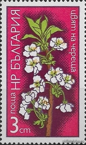 БК 2451