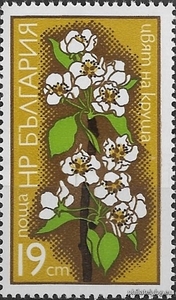 БК 2452