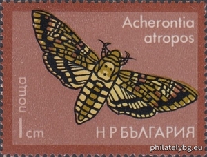 БК 2499