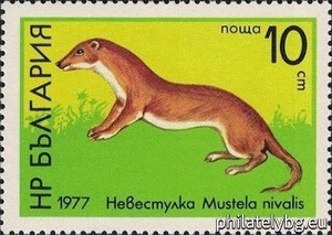 БК 2661